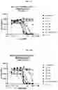 Fig. 29 - IPILIMUMAB VARIANTS WITH ENHANCED SPECIFICITY FOR BINDING AT LOW PH