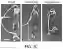 Fig. 09 - TRIGGERABLE HYDROGEL COMPOSITIONS AND RELATED METHODS