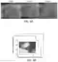 Fig. 11 - TRIGGERABLE HYDROGEL COMPOSITIONS AND RELATED METHODS