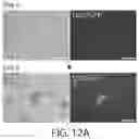 Fig. 22 - TRIGGERABLE HYDROGEL COMPOSITIONS AND RELATED METHODS