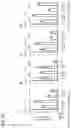 Fig. 25 - AGENT TARGETING DOUBLE-MEMBRANE ORGANELLE DNA