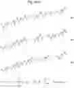 Fig. 40 - AGENT TARGETING DOUBLE-MEMBRANE ORGANELLE DNA