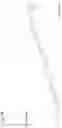 Fig. 54 - AGENT TARGETING DOUBLE-MEMBRANE ORGANELLE DNA
