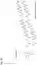 Fig. 60 - AGENT TARGETING DOUBLE-MEMBRANE ORGANELLE DNA