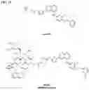 Fig. 12 - IMMUNOPHILIN-DEPENDENT INHIBITORS AND USES THEREOF