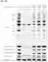 Fig. 16 - IMMUNOPHILIN-DEPENDENT INHIBITORS AND USES THEREOF