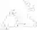Fig. 244 - IMMUNOPHILIN-DEPENDENT INHIBITORS AND USES THEREOF