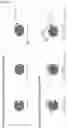 Fig. 25 - IMMUNOPHILIN-DEPENDENT INHIBITORS AND USES THEREOF