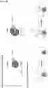 Fig. 26 - IMMUNOPHILIN-DEPENDENT INHIBITORS AND USES THEREOF