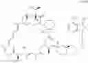 Fig. 262 - IMMUNOPHILIN-DEPENDENT INHIBITORS AND USES THEREOF