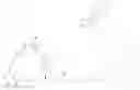 Fig. 263 - IMMUNOPHILIN-DEPENDENT INHIBITORS AND USES THEREOF