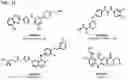 Fig. 29 - IMMUNOPHILIN-DEPENDENT INHIBITORS AND USES THEREOF