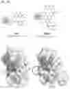 Fig. 30 - IMMUNOPHILIN-DEPENDENT INHIBITORS AND USES THEREOF