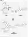 Fig. 33 - IMMUNOPHILIN-DEPENDENT INHIBITORS AND USES THEREOF