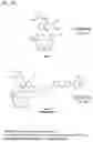 Fig. 35 - IMMUNOPHILIN-DEPENDENT INHIBITORS AND USES THEREOF
