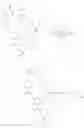 Fig. 385 - IMMUNOPHILIN-DEPENDENT INHIBITORS AND USES THEREOF