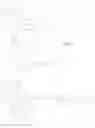 Fig. 389 - IMMUNOPHILIN-DEPENDENT INHIBITORS AND USES THEREOF