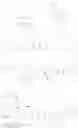 Fig. 435 - IMMUNOPHILIN-DEPENDENT INHIBITORS AND USES THEREOF