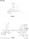 Fig. 60 - IMMUNOPHILIN-DEPENDENT INHIBITORS AND USES THEREOF