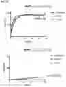 Fig. 75 - IMMUNOPHILIN-DEPENDENT INHIBITORS AND USES THEREOF