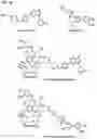 Fig. 87 - IMMUNOPHILIN-DEPENDENT INHIBITORS AND USES THEREOF
