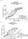 Fig. 03 - Multifunctional forms of polyoxazoline copolymers and drug compositions comprising the same