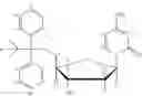 Fig. 31 - Multifunctional forms of polyoxazoline copolymers and drug compositions comprising the same