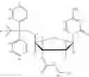Fig. 32 - Multifunctional forms of polyoxazoline copolymers and drug compositions comprising the same