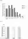 Fig. 04 - ANTIMICROBIAL TAILORED CHITOSAN