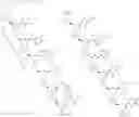 Fig. 45 - COMPOSITIONS FOR TREATING MUSCULAR DYSTROPHY