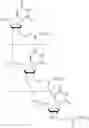 Fig. 60 - COMPOSITIONS FOR TREATING MUSCULAR DYSTROPHY