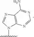 Fig. 81 - COMPOSITIONS FOR TREATING MUSCULAR DYSTROPHY