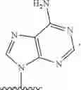 Fig. 88 - COMPOSITIONS FOR TREATING MUSCULAR DYSTROPHY