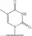 Fig. 91 - COMPOSITIONS FOR TREATING MUSCULAR DYSTROPHY