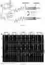 Fig. 03 - Peptide-linked drug delivery system