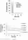 Fig. 04 - Peptide-linked drug delivery system
