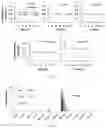Fig. 05 - Peptide-linked drug delivery system