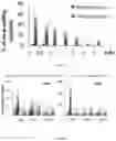 Fig. 14 - Peptide-linked drug delivery system
