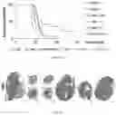 Fig. 18 - Peptide-linked drug delivery system