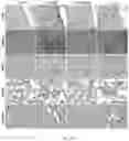 Fig. 25 - Peptide-linked drug delivery system