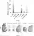 Fig. 29 - Peptide-linked drug delivery system