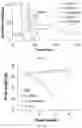 Fig. 32 - Peptide-linked drug delivery system