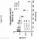 Fig. 13 - SLOW-RELEASE CYTOKINE CONJUGATES