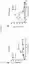 Fig. 19 - SLOW-RELEASE CYTOKINE CONJUGATES