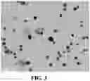 Fig. 04 - CHLORHEXIDINE SYSTEMS AND METHODS FOR OBTAINING SAME