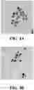 Fig. 05 - CHLORHEXIDINE SYSTEMS AND METHODS FOR OBTAINING SAME