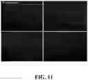 Fig. 11 - CHLORHEXIDINE SYSTEMS AND METHODS FOR OBTAINING SAME