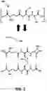 Fig. 03 - NOOTROPIC FULLERENES AND USE