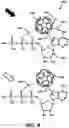 Fig. 05 - NOOTROPIC FULLERENES AND USE