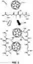 Fig. 06 - NOOTROPIC FULLERENES AND USE